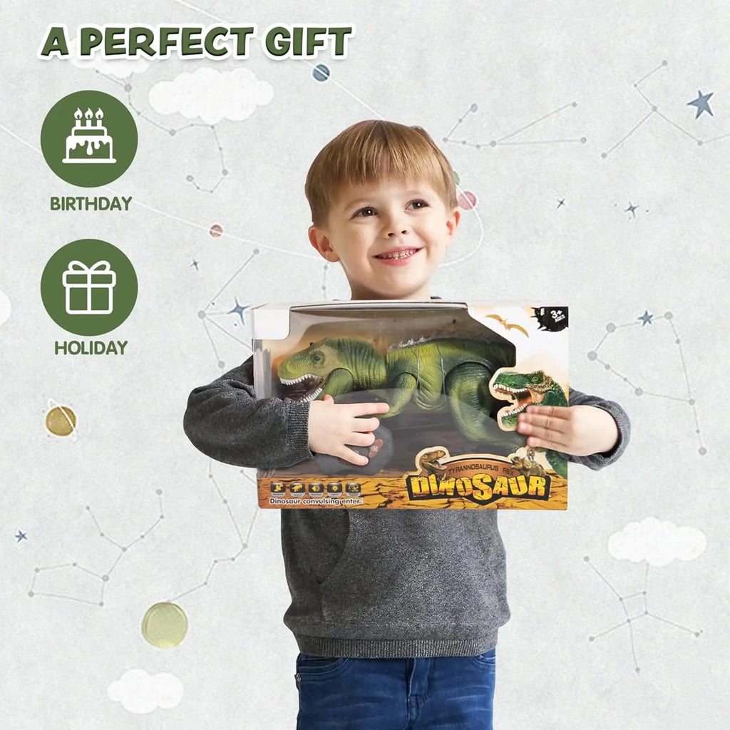 Remote Control LED T-Rex Dinosaur Robot Toy