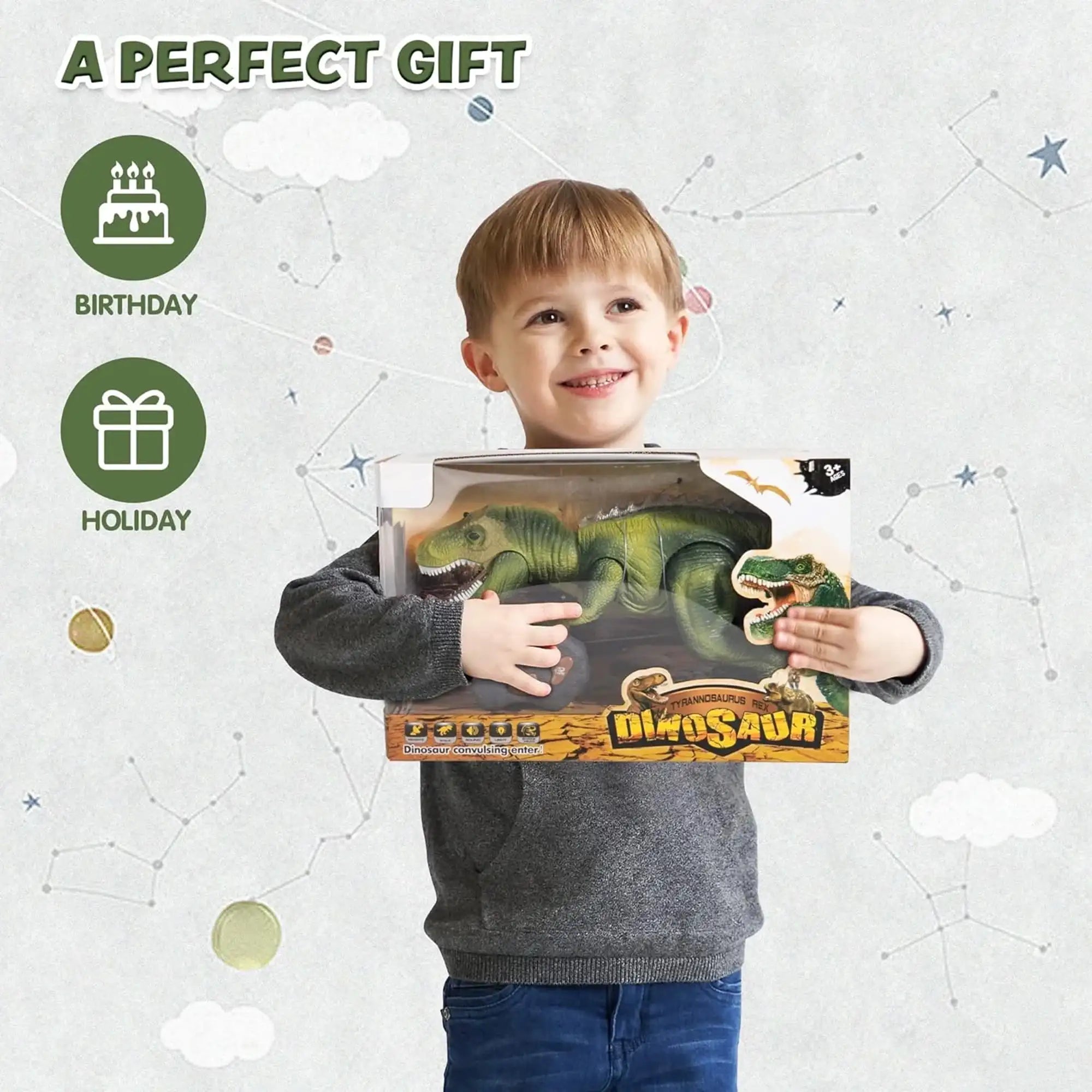 Remote Control LED T-Rex Dinosaur Robot Toy